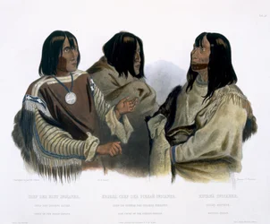 Hoofd van de Blood Indians, oorlogshoofd van de Piekann Indians en een Koutani Indiaan, plaat 46 uit Volume 2 van 